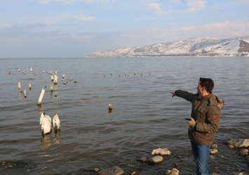 Van Gölü'nde sular çekildi!