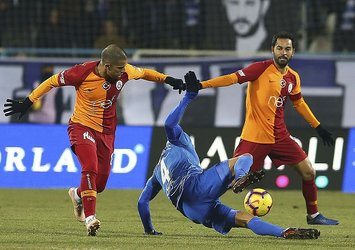 Aslan Erzurum'da ağır yaralı