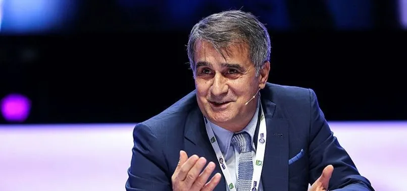 Şenol Güneş'ten Milli Takım açıklaması