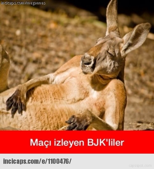 F.Bahçe galibiyet capsleri