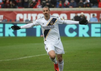 Zlatan Ibrahimovic'i kızdıracak sözler