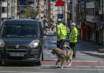 Sokağa çıkma yasağı olan iller hangileri?
