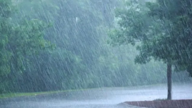 İstanbul için yağış uyarısı! İstanbul'da hava durumu nasıl? Meteoroloji uyardı! Bugün yağış var mı? 30 Ekim hava durumu... - 5