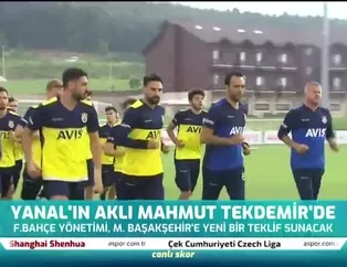 Yanal'ın aklı Mahmut Tekdemir'de