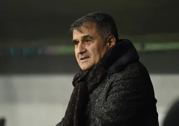 Şenol Güneş'ten Atiba açıklaması
