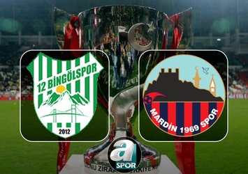 12 Bingölspor-Mardin 1969 Spor maçı hangi kanalda?