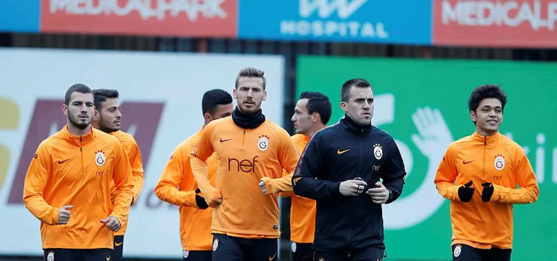 Aslan kupada tur peşinde