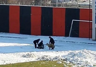 Maç oynanırken kurban kestiler!