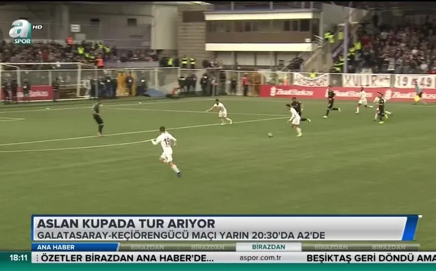 Aslan kupada tur arıyor