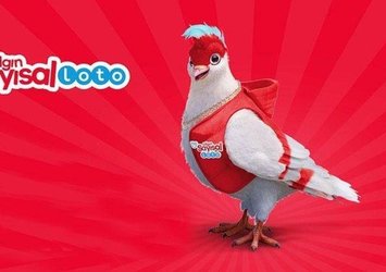 Çılgın Sayısal Loto sonuçları sorgula