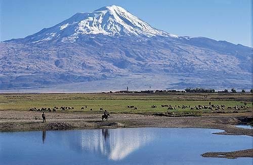 Bakın memleketiniz hangi takımlıymış!