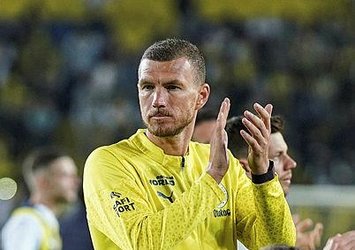 Dzeko'nun milli takımın golüne verdiği tepki!