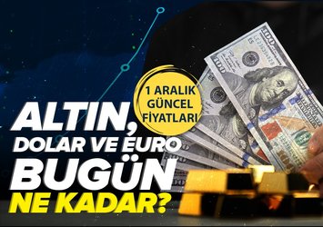 Euro, Dolar, Sterlin, Gram, Çeyrek, Yarım Altın Kaç TL oldu? 1 Aralık 2023 Döviz Kuru