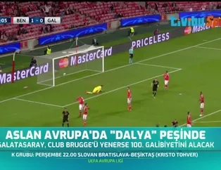 Aslan Avrupa'da "dalya" peşinde