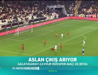 Aslan çıkış arıyor
