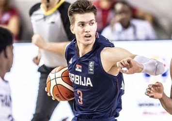 Sırp pivot Anadolu Efes'te!