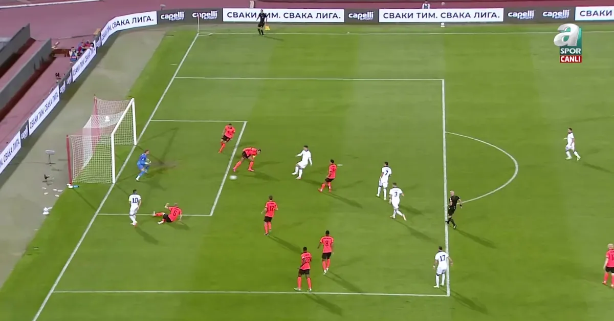 GOL | Sırbistan 1-1 Hollanda
