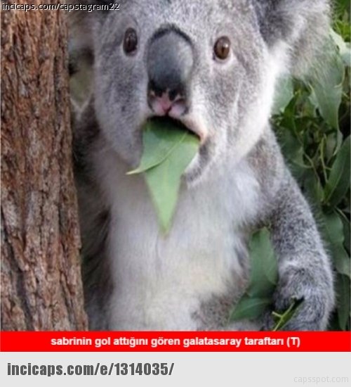 Konyaspor - Galatasaray maç capsleri