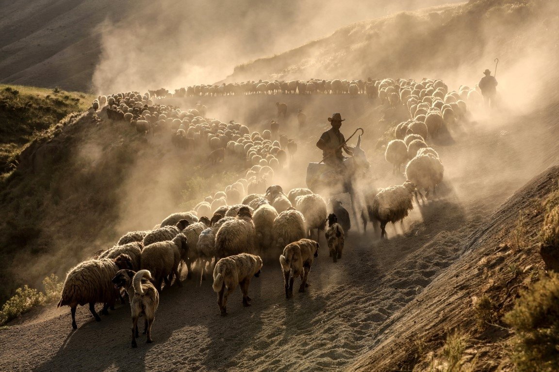 Yılın Basın Fotoğrafları 2017 açıklandı