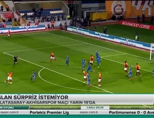Aslan sürpriz istemiyor