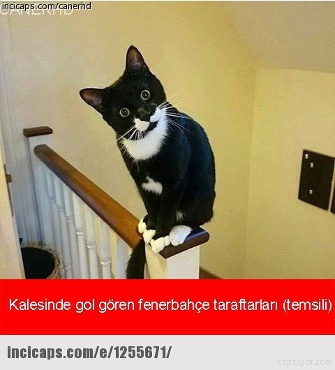 Başakşehir - Fenerbahçe maçı capsleri!