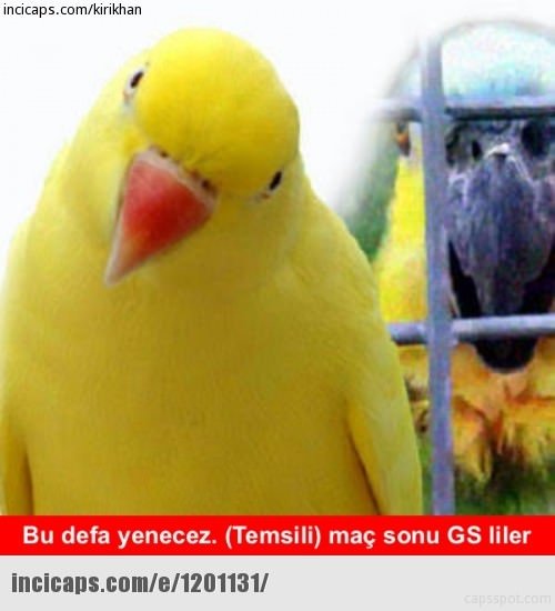 Maç bitti capsler patladı