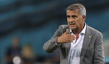 Şenol Güneş: İsviçre maçında değişiklikler olacak!