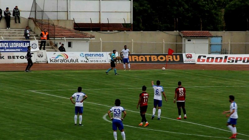 Anagold 24 Erzincanspor - Ankara Demirspor maçında sahaya giren köpek hakemin kucağında dışarı çıkarıldı