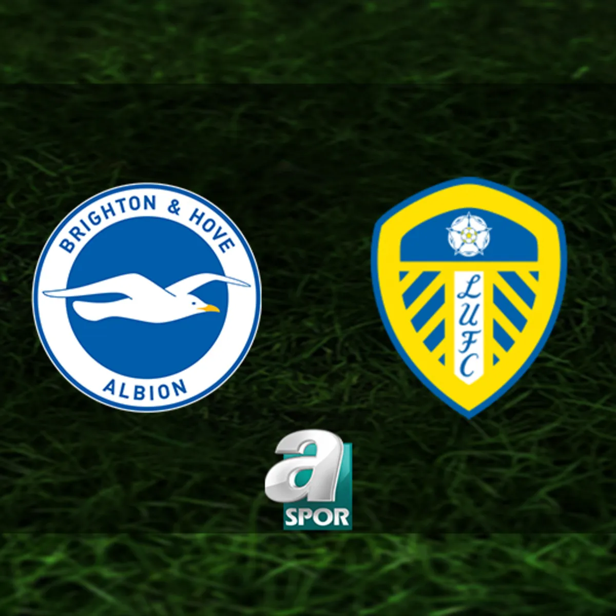 Brighton-Leeds United maçı ne zaman, saat kaçta ve hangi kanalda?