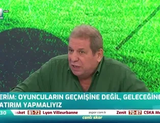 Erman Toroğlu: Fatih Terim'i sallamıyorlar