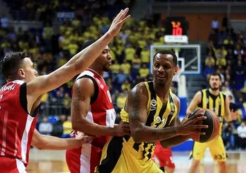 Kanarya son 8 aşkına