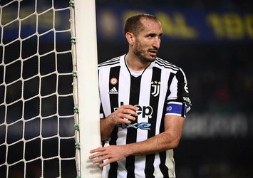 Beşiktaş'ın istediği yıldıza Chiellini benzetmesi!