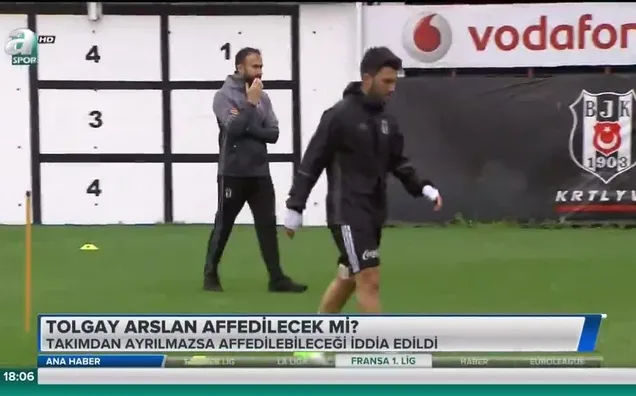 Tolgay Arslan affedilecek mi?