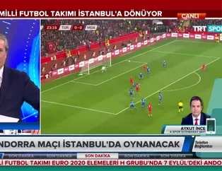 A Milli Futbol Takımı İstanbul'a dönüyor