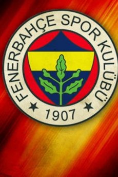 Fenerbahçe'ye Van Der Wiel müjdesi