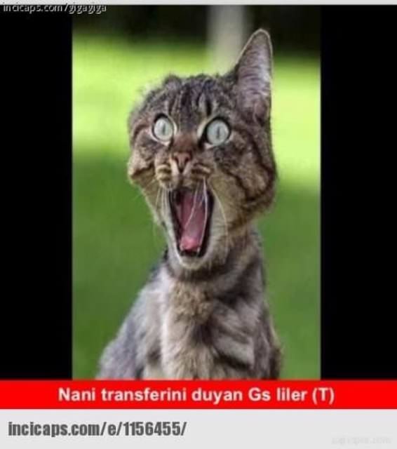 En komik transfer dönemi capsleri