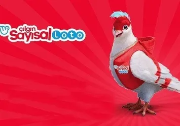 Çılgın Sayısal Loto sonuçları!