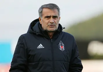 Şenol Güneş'e haber yolladı! Bedelsiz gelirim...