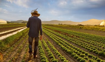 Başkan Erdoğan'dan çiftçiye müjde!