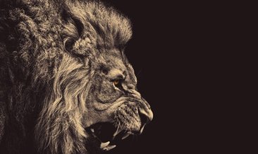Aslan transferde atağa kalktı! 4 isim birden...