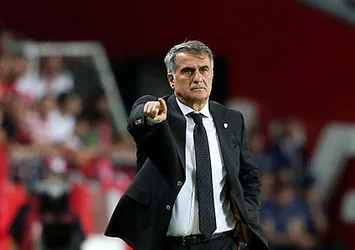 Şenol Güneş: "Gurur duyuyorum"