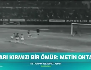 Metin Oktay - Portre