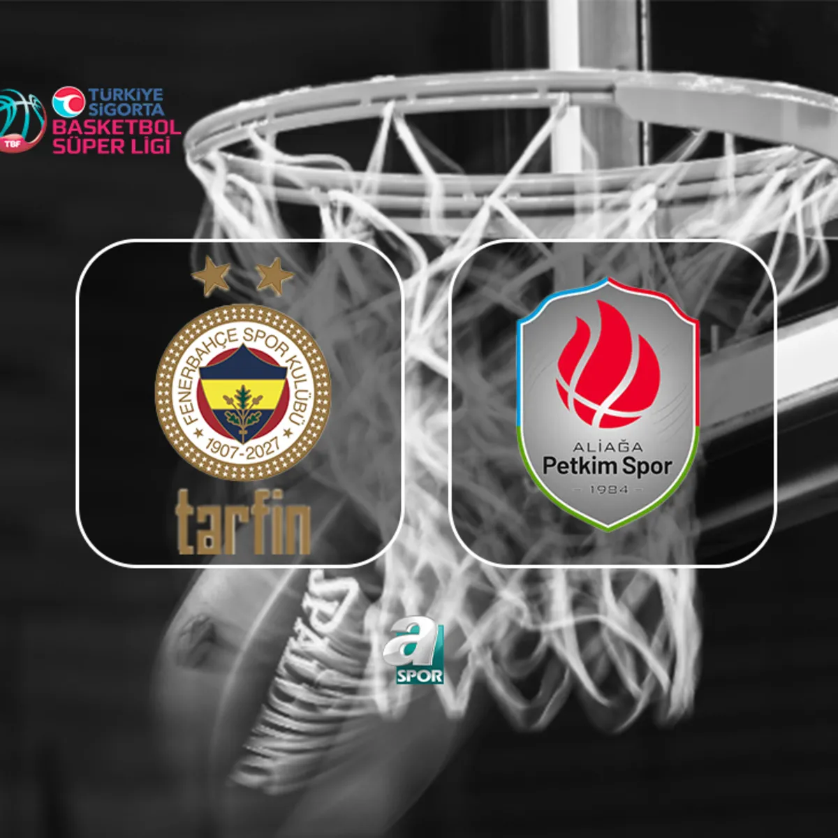 Fenerbahçe Tarfin - Petkimspor maçı saat kaçta, hangi kanalda?