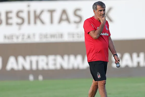 Şenol Güneş'ten flaş karar