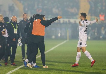 Atom karınca: Dorukhan Toköz