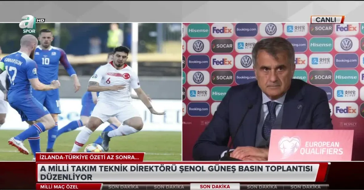 Şenol Güneş: Yenilmeyi haketmedik