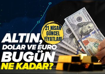 💲1 DOLAR NE KADAR?