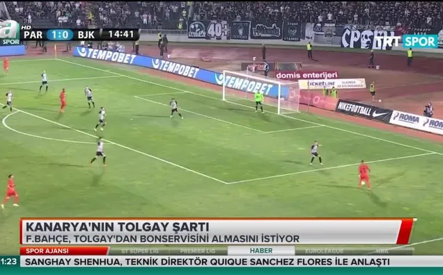 Kanarya'nın Tolgay şartı