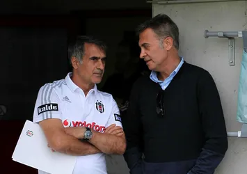 Güneş kavgadan rahatsız değil