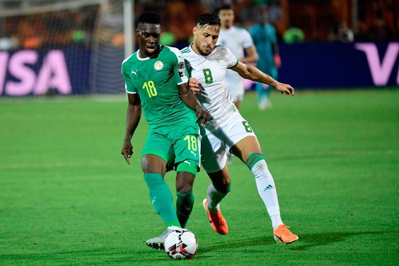 Senegal - Cezayir  maçından kareler...